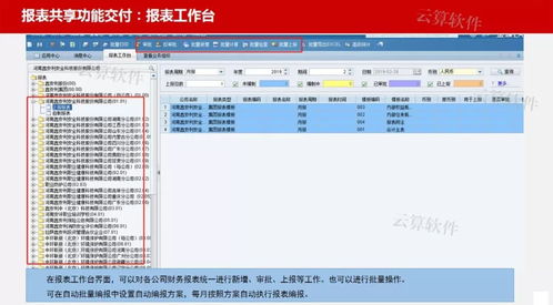 软件项目验收文档清单 鑫安利财务共享项目验收汇报会 云算软件助力企业财务效率提升...